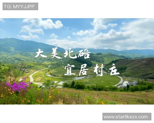 重磅专题：重庆攀岩队的快攻革新